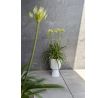 Obal MiLLY ROUND DMIG190 18,8cm biely