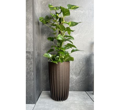 Kvetináč Mira vysoká ECO coffe 250mm espresso
