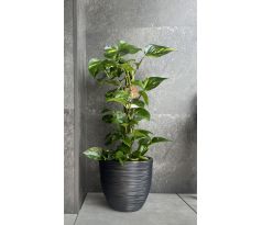 Kvetináč na terasu FURU s vkladom DBFU400 39 cm antracit