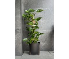Kvetináč Frida 260 ECO RECYCLED 26cm čierny