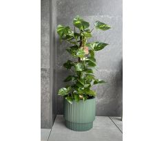 Kvetináč s vkladom MILLY DBMIN400 zelený 39,5cm