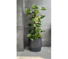 Kvetináč s vkladom MILLY DBMIN300 antracit 29,8cm