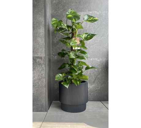 Kvetináč s vkladom MILLY DBMIN400 antracit 39,5cm